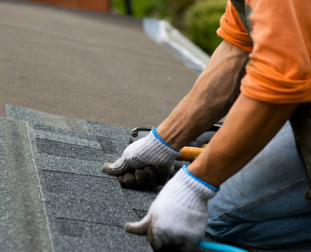 Best Storm Damage Roof Repair  in Cottageville, SC